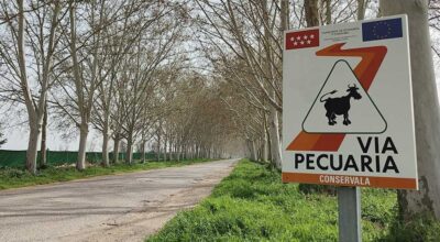 Real Cortijo de San Isidro - via pecuaria calle princesa