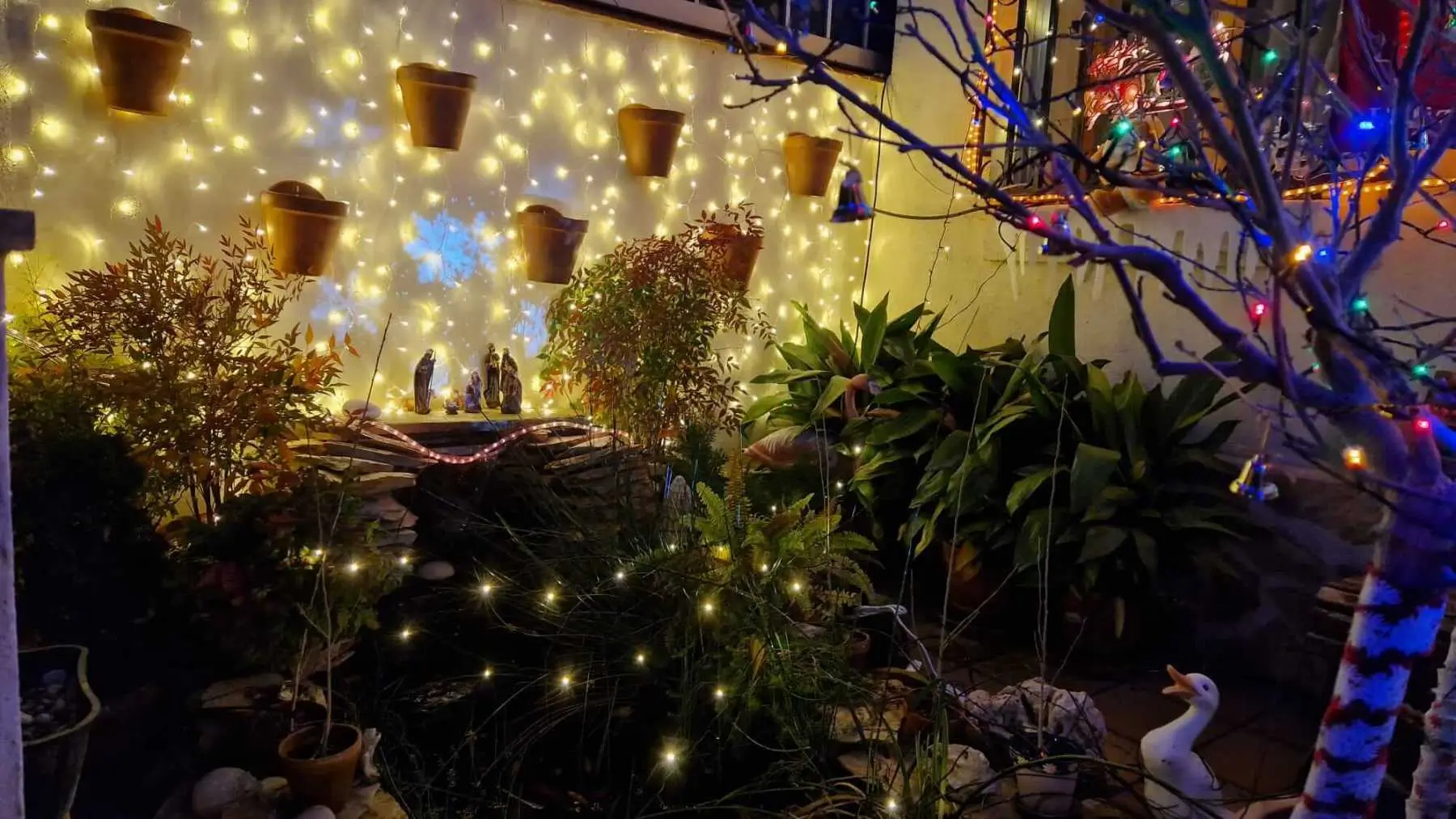 Navidad 2024 - Cortijo de San isidro