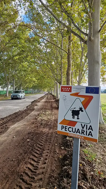 Obras en la calle Pricesa - Real Cortijo de San Isidro