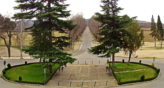 Real Cortijo de San Isidro - entrada
